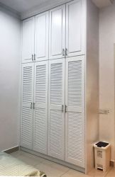 Built-in Wardrobe